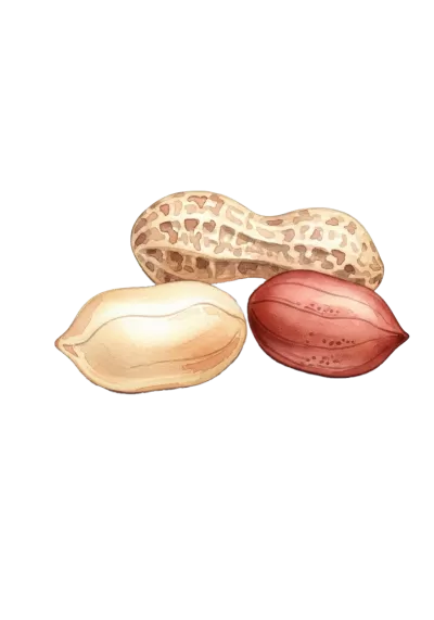 Imagen PNG para descargar